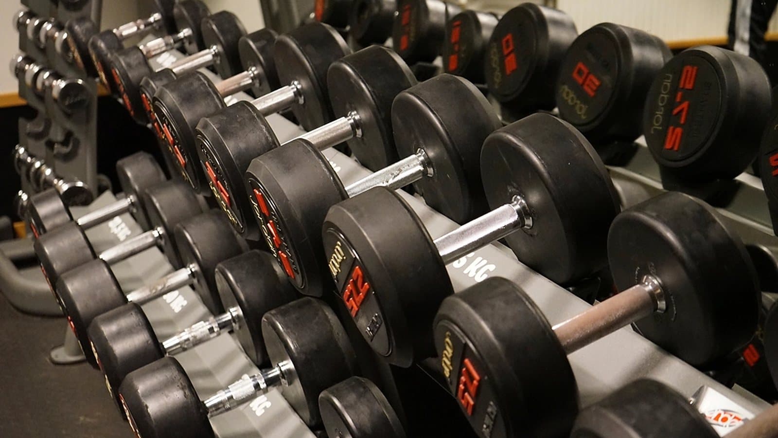 Row of dumbbells on a gym rack, the busy part of the floor members pass on the way out